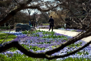 Arboretum Ellerhoop