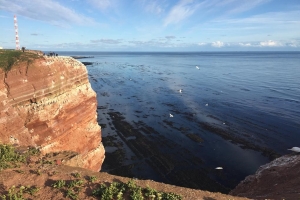 Helgoland Felswatt