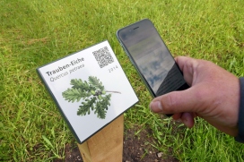 Baumschilder mit QR-Code (© Barbara Engelschall)